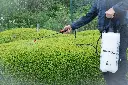 TSP08_5414045044953_04.webp