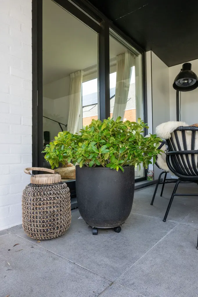 R0PLANTDISPLAY_02.webp